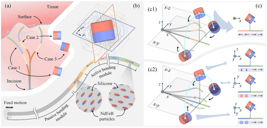  IEEE TRO发表！揭秘模块化轴向充磁连续体机器人的设计与控制策略！(图2)
